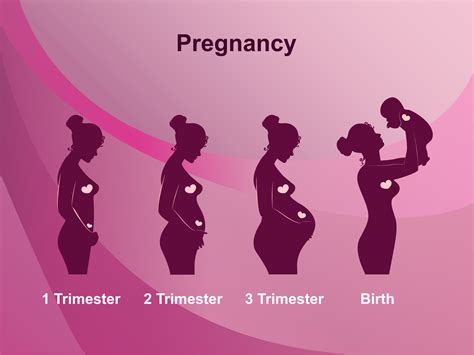 are men responsible for the quality of womens pregnancy